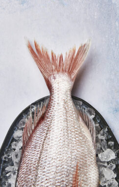 Der Feinschmecker Magazine: Fisch
